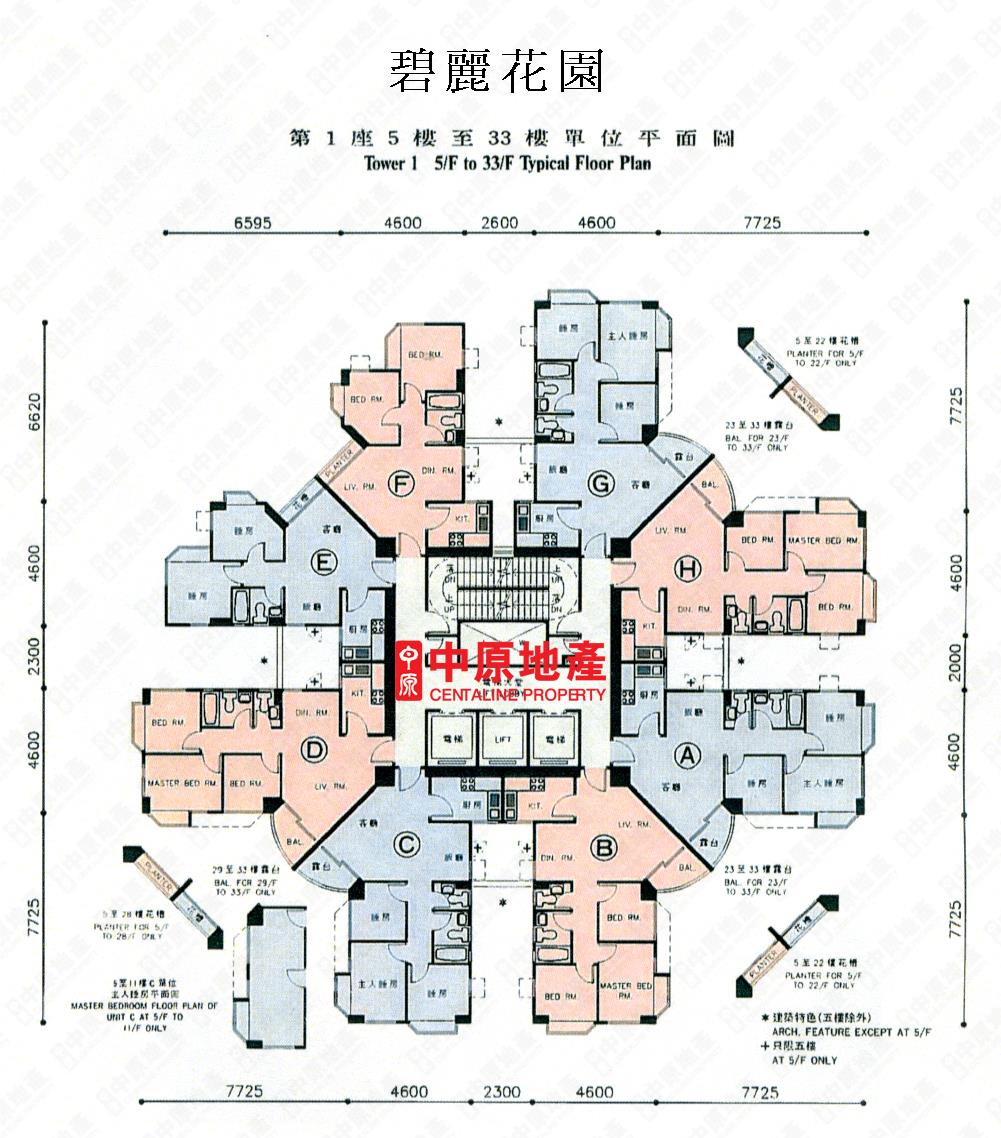 中原數據 土瓜灣碧麗花園1座的平面圖