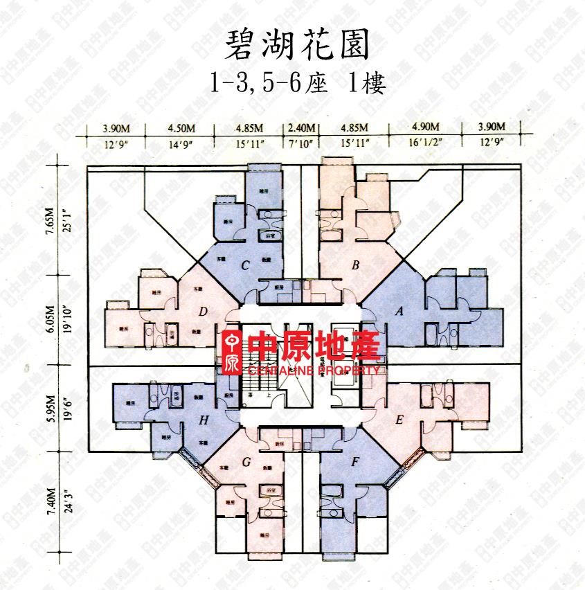 中原數據 上水 粉嶺 古洞碧湖花園6座的平面圖