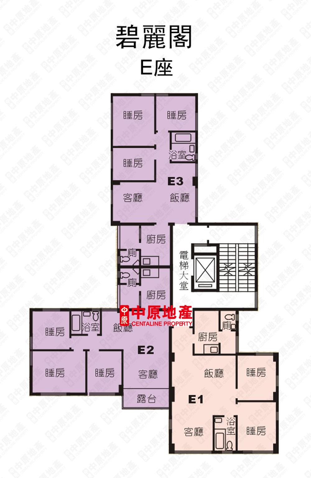 中原數據 九龍塘 畢架山碧麗閣e座的平面圖